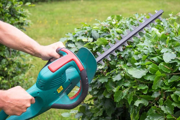 Person schneidet Hecke mit elektrischer Heckenschere